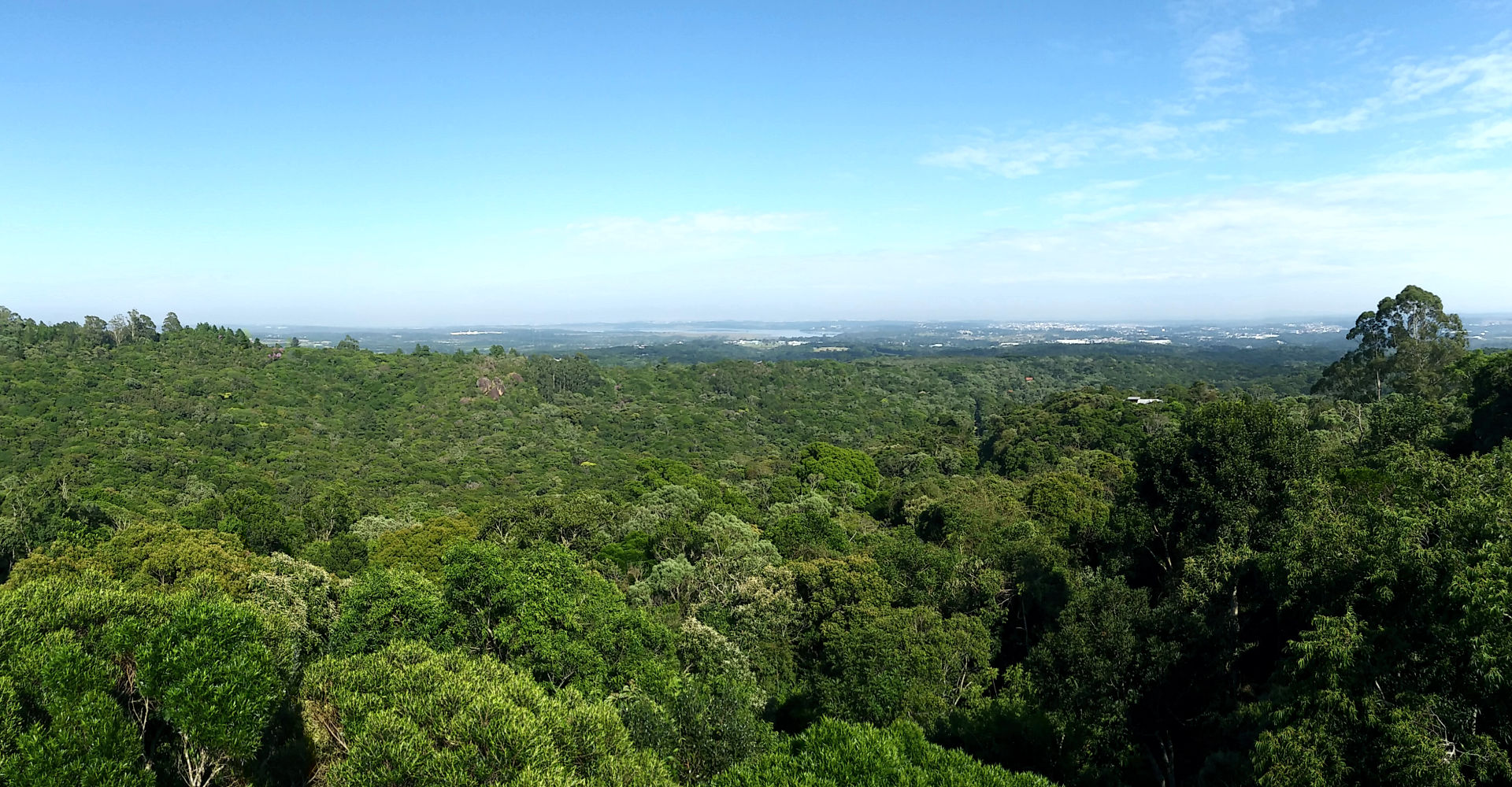 NEGÓCIOS IMOBILIÁRIOS