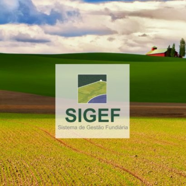 SIGEF